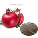 Pomegranate Peel Extract Supplier - 10:1 Powder Factory Supply