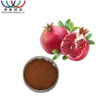 Pomegranate Peel Extract Supplier - 10:1 Powder Factory Supply