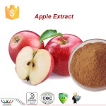 Konjac Gum Powder Manufacturer - High Fiber Dietary Supplement
