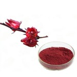 Hibiscus Extract Manufacturer - Food Grade Weight Loss