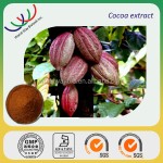 Cocoa Extract Manufacturer - Theobromine 10%-20% Polyphenols