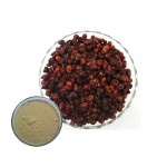 Sorghum Red Extract Supplier - Food Grade Water Based