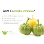 Soybean Extract Manufacturer - Phosphocholine PC Bag Pack