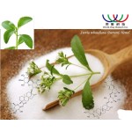 Rubusoside Extract Factory - 70%-95% Sweet Tea 300x