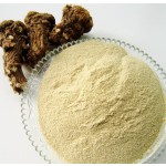 Angelica Extract Manufacturer - 10:1 Water Solvent Dong Quai