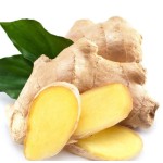 Ginger Root Extract Factory - Water Soluble Powder Supplement