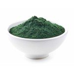 Apple Extract Factory - Procyanidine B2 Polyphenols