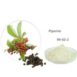 Black Pepper Extract Supplier - 95% Piperine Seed Powder
