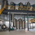 Rosemary Extract Powder Supplier - 25% Carnosic Rosmarinic Acid