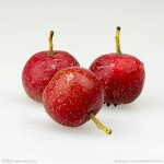 Hawthorn Extract Supplier - 5% Flavones Berry Powder