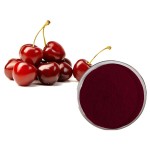 Tart Cherry Powder Manufacturer - Sour Cherry Juice Extract