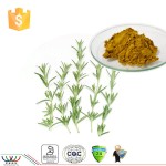 Rosemary Extract Supplier - Carnosic Ursolic Acids UV Test