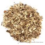 Echinacea Root Extract Manufacturer - Green Powder Herbal