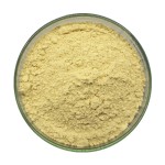 Breviscapine Powder Supplier - 98% Erigeron Breviscapus