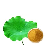 Grape Seed Extract Manufacturer - 95% OPC Anthocyanin Rich