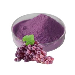 Grape Seed Extract Capsules Manufacturer - Organic OPC Halal Certified