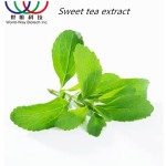 Rubusoside Extract Factory - 70%-95% Sweet Tea 300x