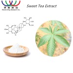 Rubusoside Extract Factory - 70%-95% Sweet Tea 300x