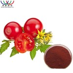 Tomato Extract Factory - Lycopene 5%-20% Concentration