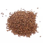 Cassia Seed Extract Manufacturer - Semen Cassiae Powder Bulk