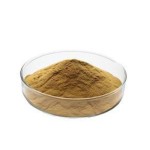 Sage Leaf Extract Manufacturer - 10:1 Salvia Officinalis Powder