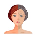 NMN Powder Manufacturer - Food Grade Nicotinamide Mononucleotide Bulk