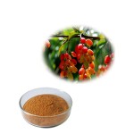Barberry Extract Factory - 10:1 Bark Powder Berberin