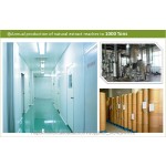 Cocoa Seed Extract Factory - Pure Plant Extract Supplement