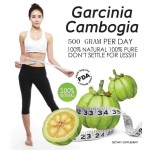 Cocoa Seed Extract Factory - Pharmaceutical Grade Drum