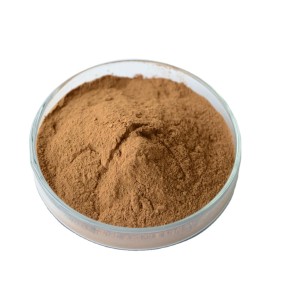 Reishi Mushroom Powder Manufacturer - Wild Food Grade Supplement
