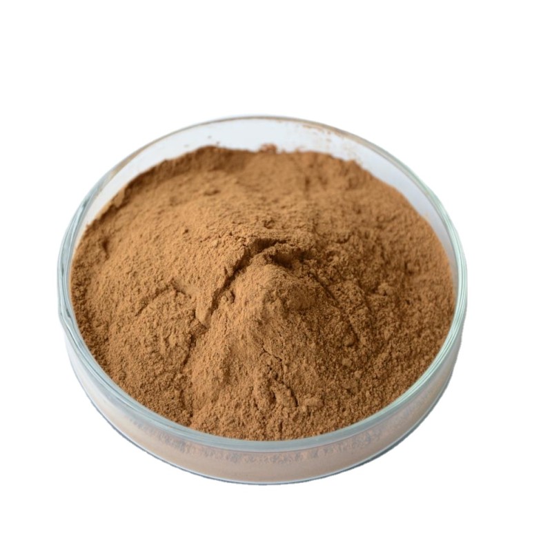 Reishi Mushroom Powder Manufacturer - Wild Food Grade Supplement