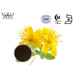 Red Sorghum Extract Factory - Plant Based Color Extract