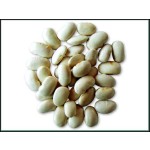 Tongkat Ali Extract Manufacturer - Eurycoma Longifolia Powder