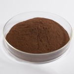 Echinacea Root Extract Factory - 1%-4% Immune Boosting Wild