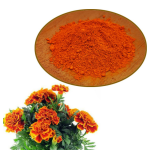 Marigold Extract Factory - 10%-80% Lutein Powder