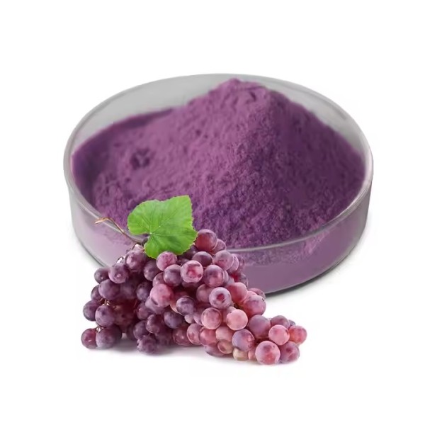 Grape Seed Extract Supplier - 95% OPC Anthocyanin Free Sample