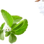 Stevia Extract Factory - White Powder Sweetener Halal