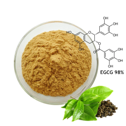 Green Tea Extract Factory - 98% Polyphenols 50% EGCG