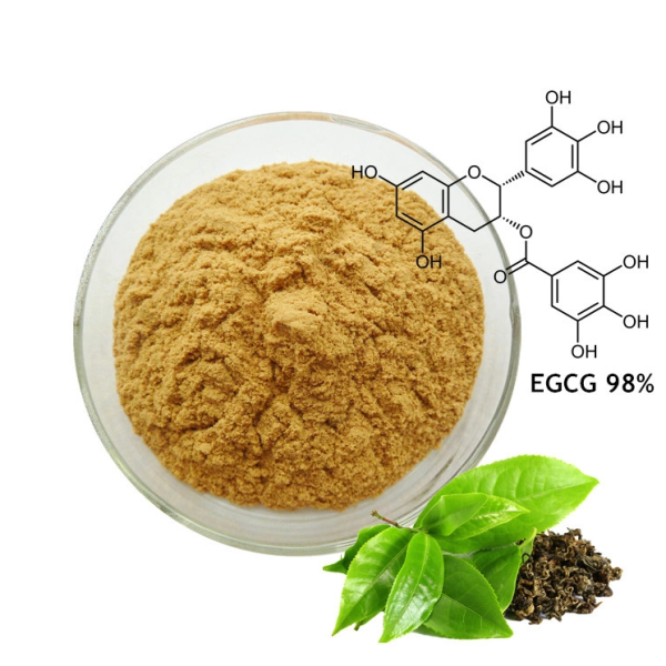 Green Tea Extract Factory - 98% Polyphenols 50% EGCG