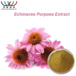 Reishi Spore Extract Manufacturer - Coffee Color Instant