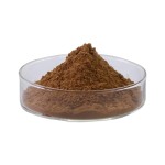 Miswak Extract Powder Manufacturer - Organic Pure Lower Price