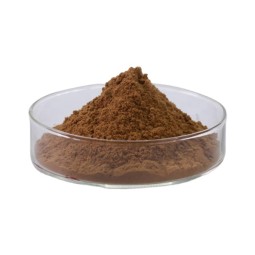 Miswak Extract Powder Manufacturer - Organic Pure Lower Price