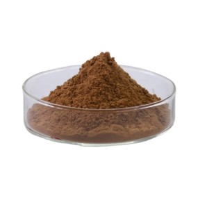 Miswak Extract Powder Manufacturer - Organic Pure Lower Price