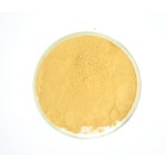 Rosemary Extract Powder Supplier - 25% Carnosic Rosmarinic Acid