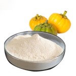 Soybean Extract Manufacturer - Phosphocholine PC Bag Pack