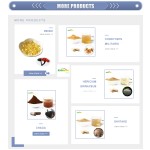 Tabernaemontana Extract Manufacturer - 10:1 20:1 Water Soluble