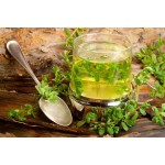 Bacopa Extract Supplier - 50% Bacosides Monnieri Powder