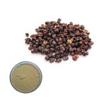 Schisandra Extract Factory - Berry Powder UV Tested