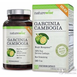 Cocoa Seed Extract Factory - Pharmaceutical Grade Drum