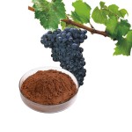 Grape Seed Extract Capsules Supplier - OPC Oligomeric Proanthocyanidins